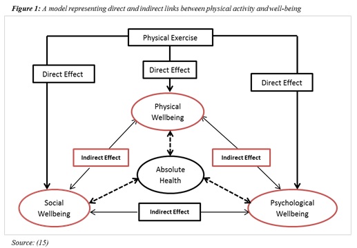 sport participation figure 1