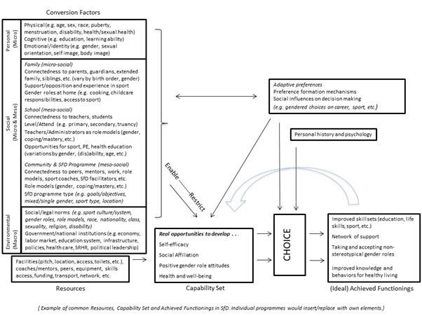 Figure 1 - HCA Model in SfD (Zipp, et al., 2019)