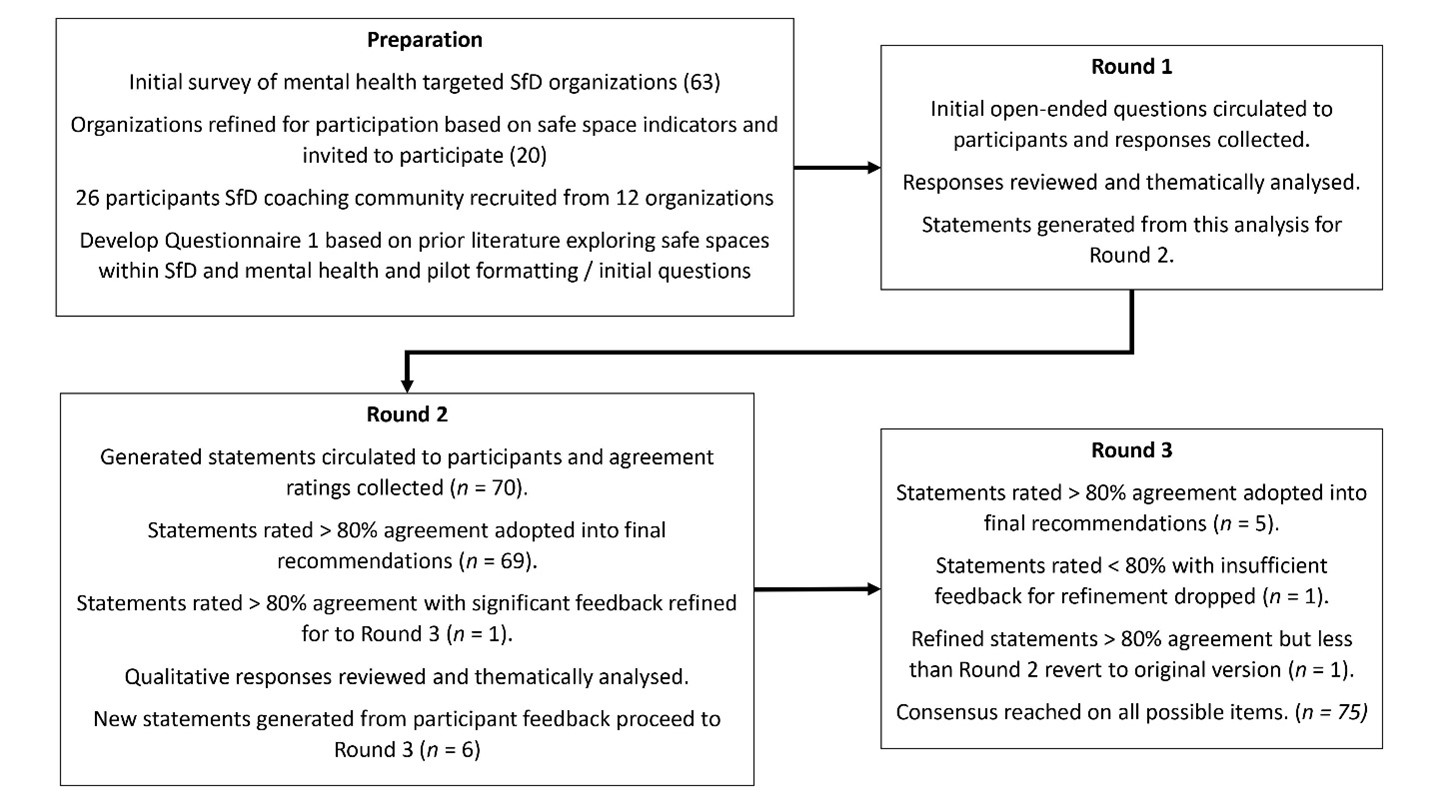 Figure 1 - Delphi on Safe Spaces in SFD Research Process